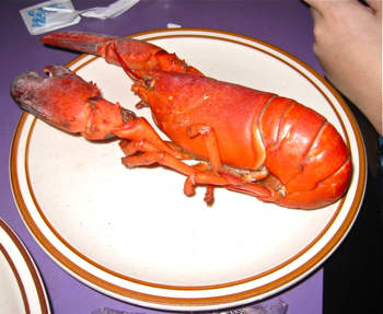 f0238562_1432550.jpg
