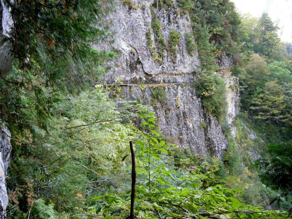 b0185573_12503651.jpg