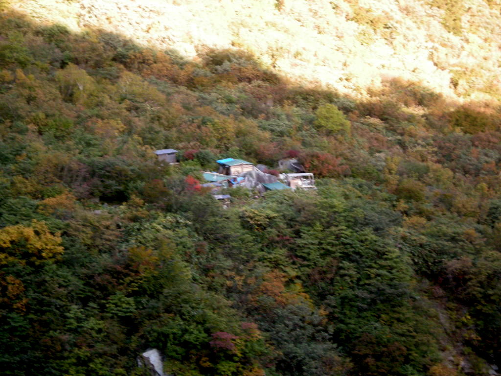b0185573_62551.jpg