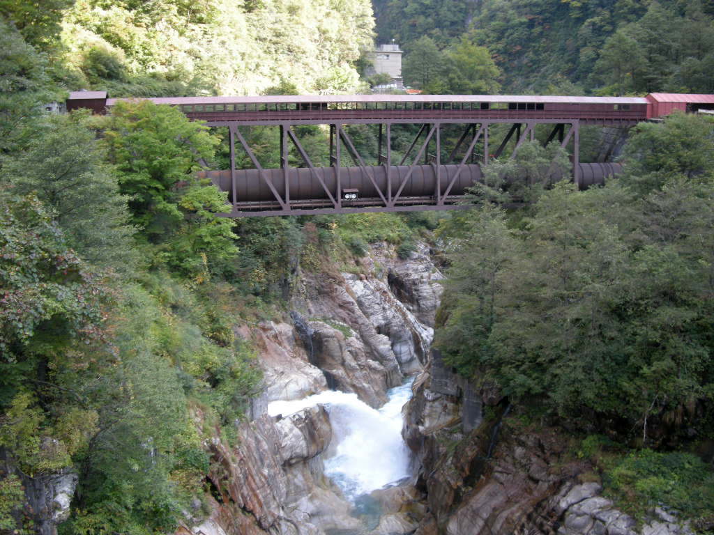b0185573_8584524.jpg