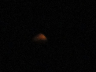 d0109373_15391843.jpg