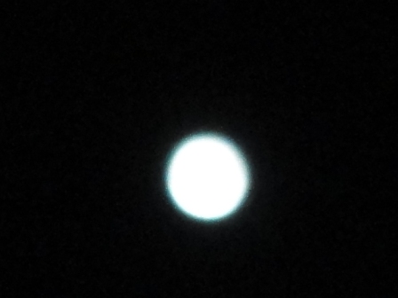 d0109373_155401.jpg