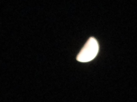 d0109373_19252277.jpg