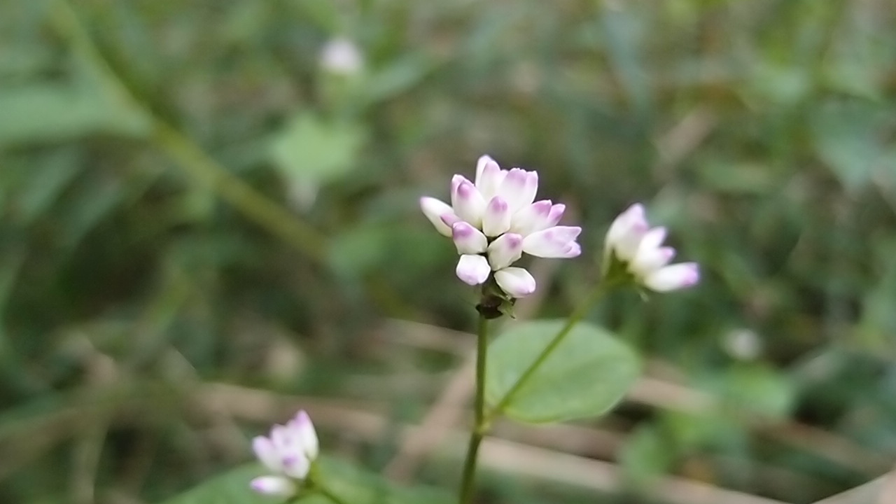 e0024081_18322825.jpg