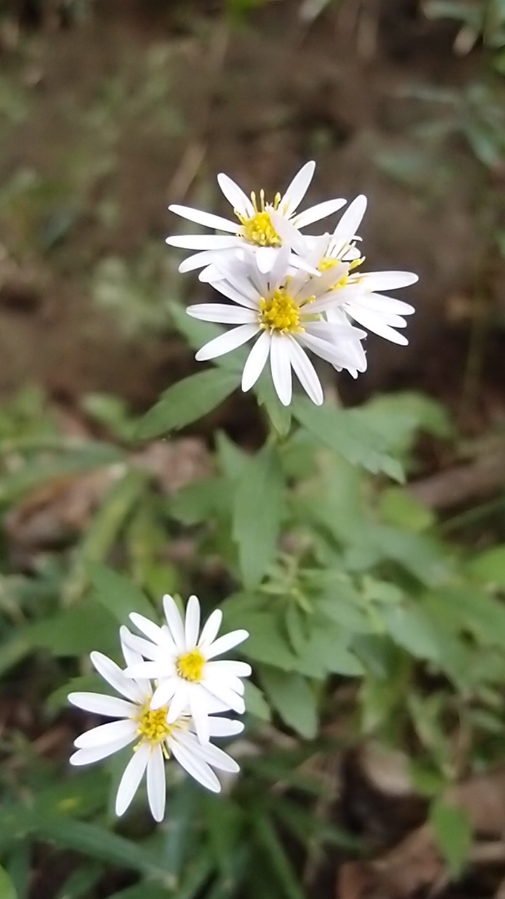 e0024081_18324791.jpg