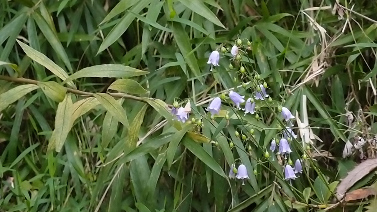 e0024081_18331012.jpg