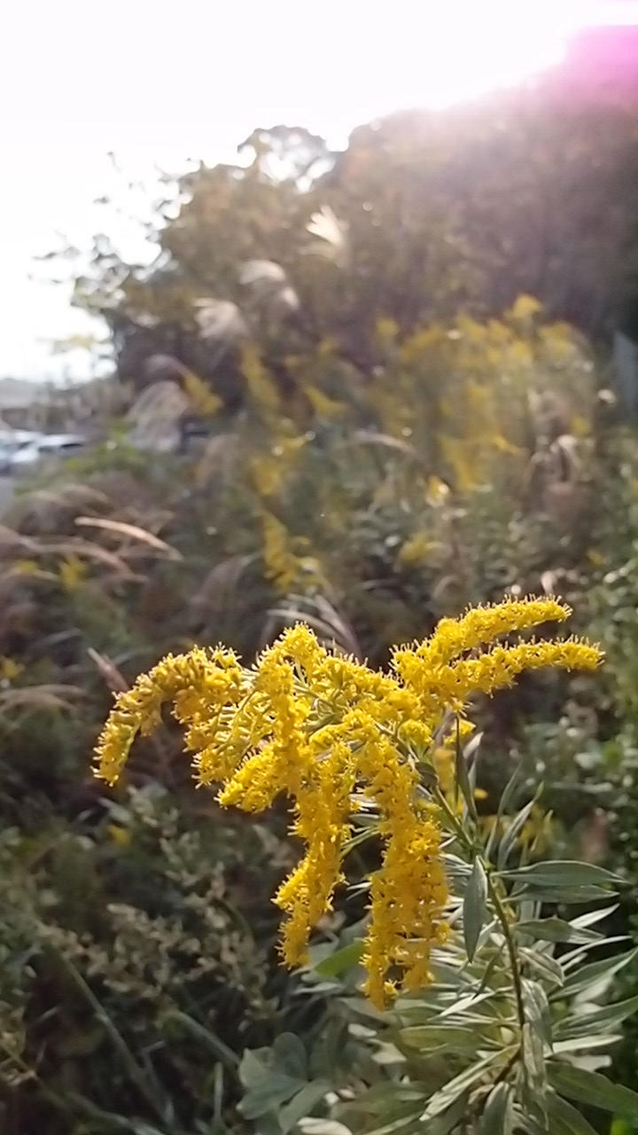 e0024081_18335664.jpg