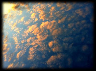f0016981_2484385.jpg