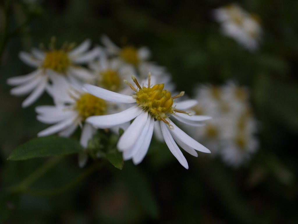 a0076683_18312981.jpg