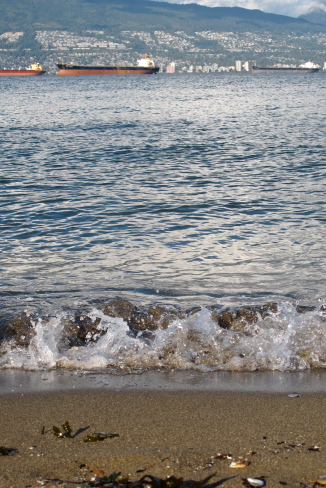 d0129786_1554857.jpg