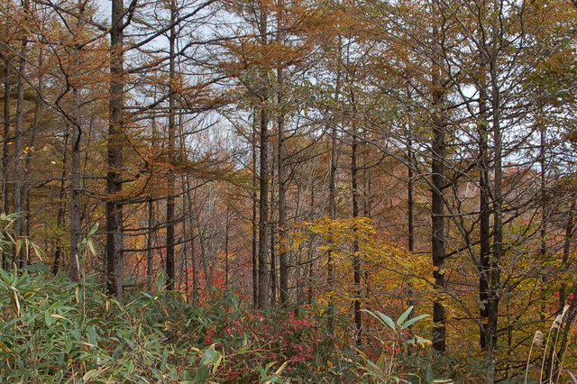 b0203588_1910818.jpg