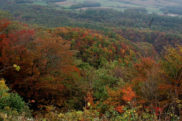 b0203588_1974191.jpg