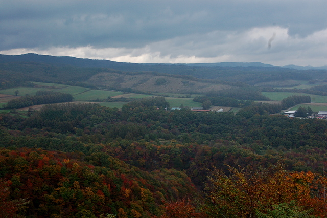 b0203588_1983199.jpg