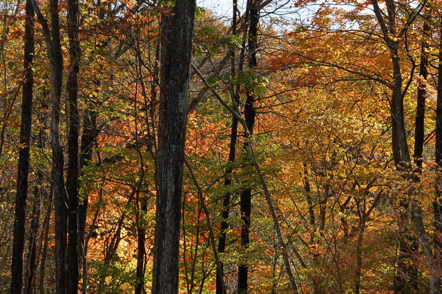b0203588_199279.jpg