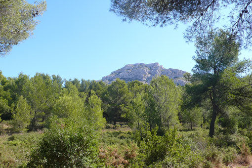 b0107891_1552068.jpg
