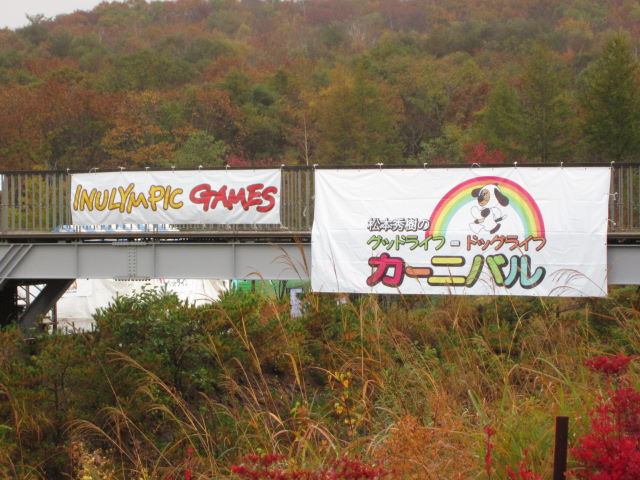 d0098295_1723253.jpg