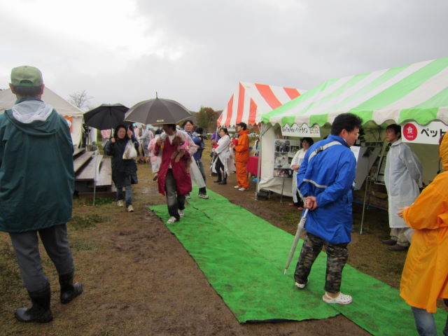 d0098295_17453648.jpg