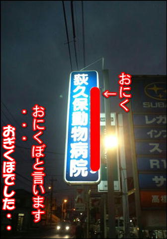 f0234395_15163892.jpg