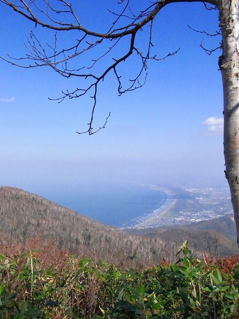 f0157901_1285033.jpg