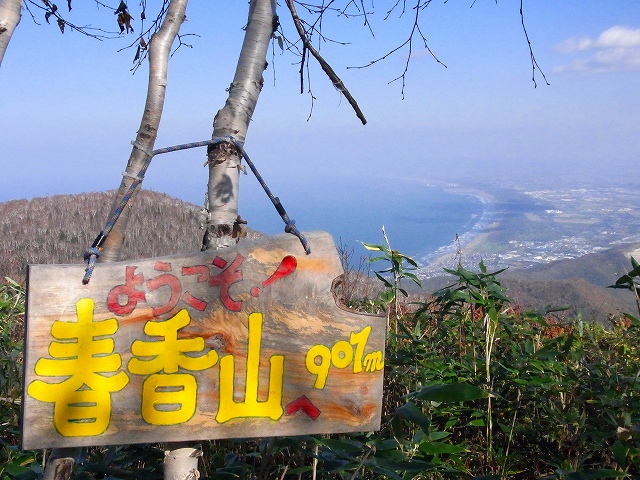 f0157901_1292498.jpg