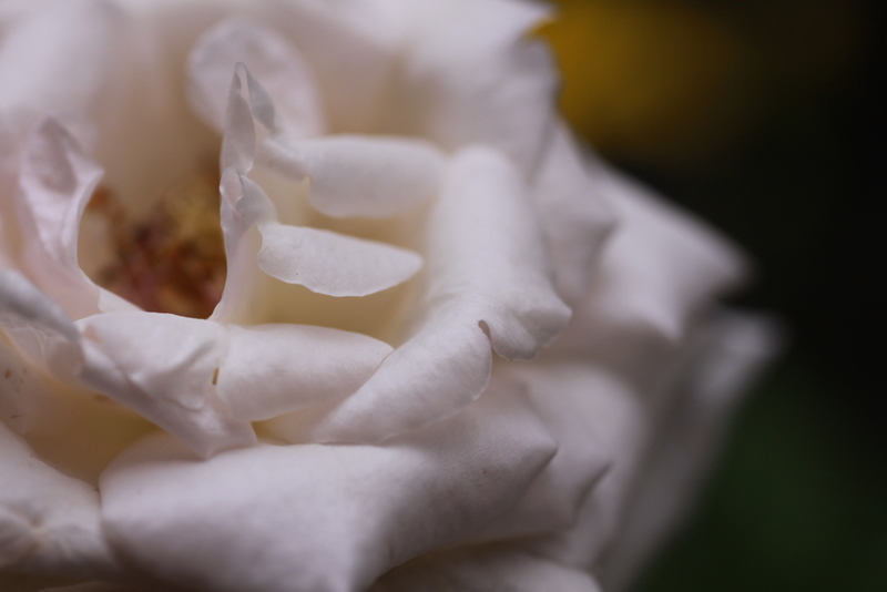 d0248502_9395497.jpg