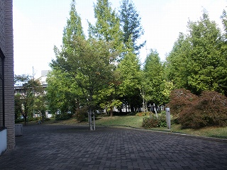 b0212305_149995.jpg