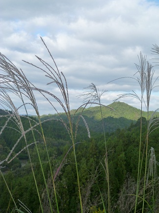 e0149313_2351558.jpg
