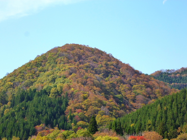 d0170615_9555431.jpg