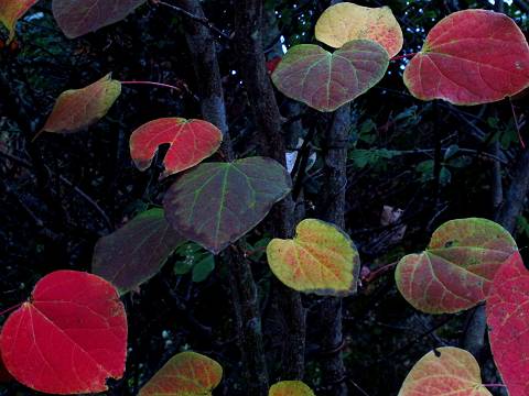 f0222919_14135031.jpg