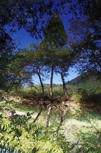 e0237620_19321945.jpg