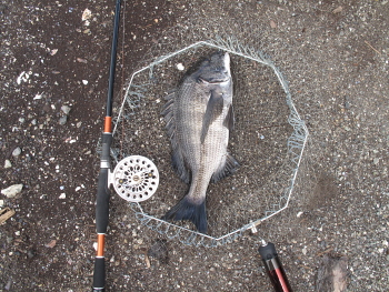 f0031423_20384370.jpg