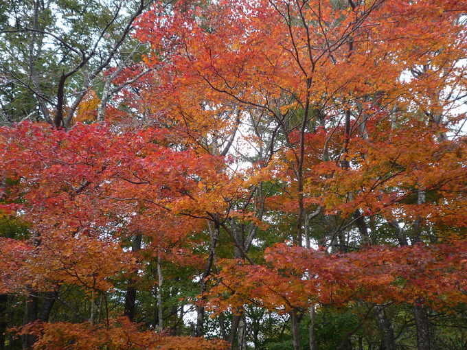 f0222527_22203431.jpg