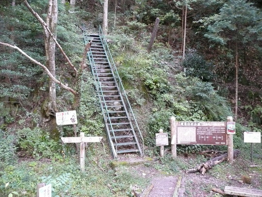 c0009528_20412944.jpg