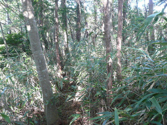 c0009528_20415114.jpg