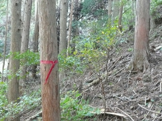 c0009528_20443168.jpg