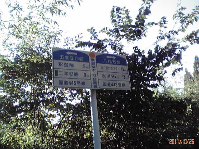 b0222530_1482048.jpg