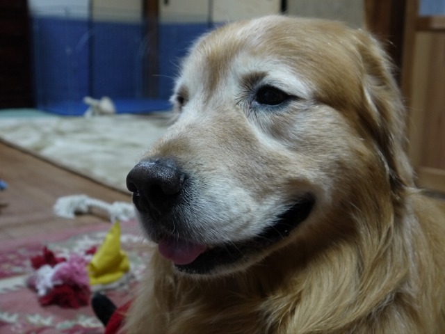 b0127531_9523117.jpg