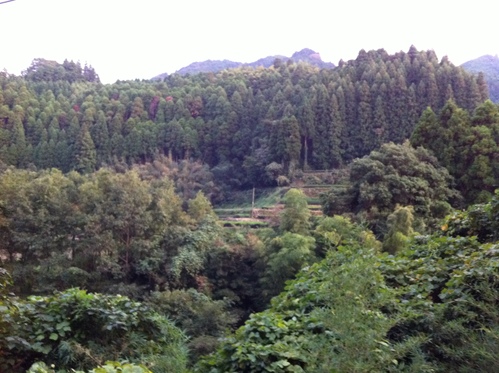 f0187336_145523.jpg