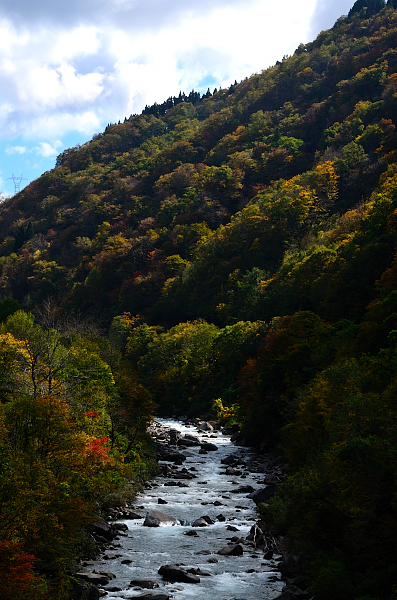 e0055138_2253745.jpg