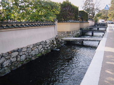 e0022839_23145088.jpg