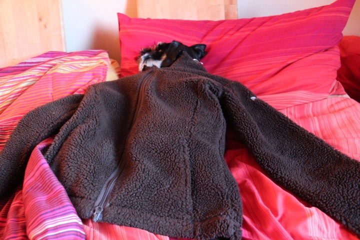 c0153740_0321510.jpg