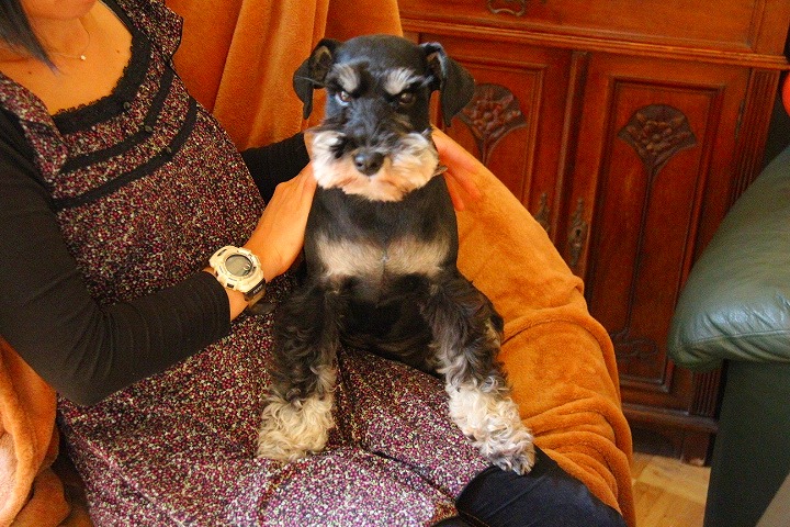 c0153740_155066.jpg