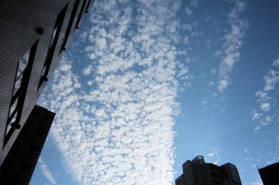 a0142343_10325747.jpg