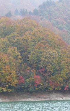 c0225143_23561053.jpg
