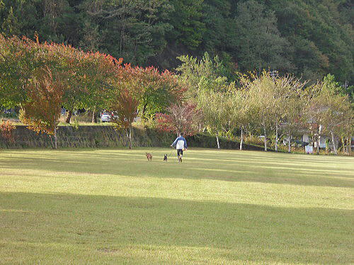 f0094843_0255934.jpg