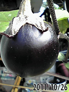 b0200747_2214273.jpg