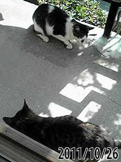 b0200747_22171666.jpg