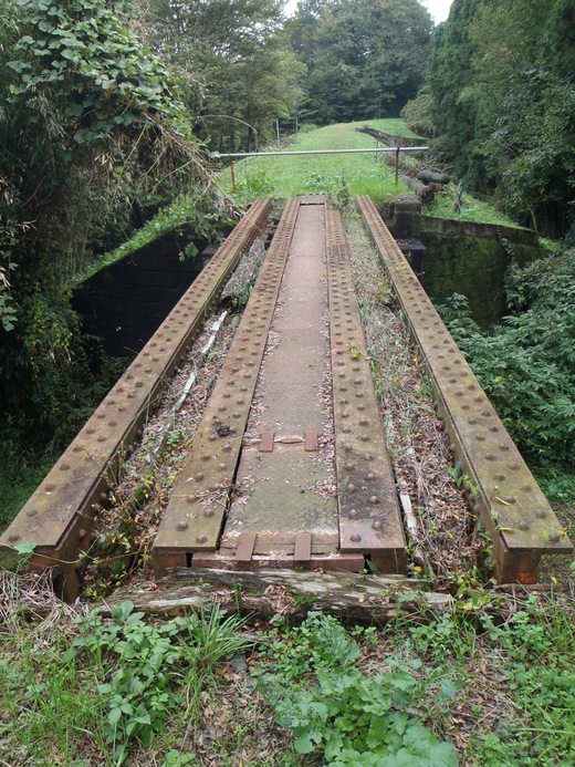 a0017848_950215.jpg