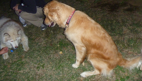 e0121548_2182853.jpg