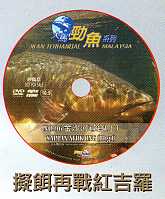 a0096669_22203340.jpg